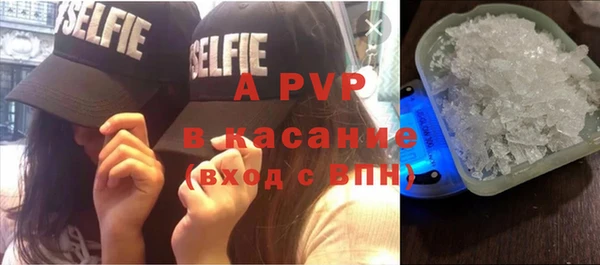 PSILOCYBIN Беломорск