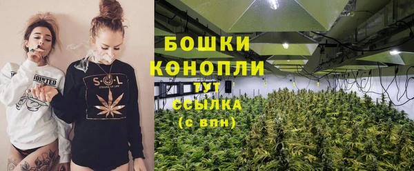 PSILOCYBIN Беломорск