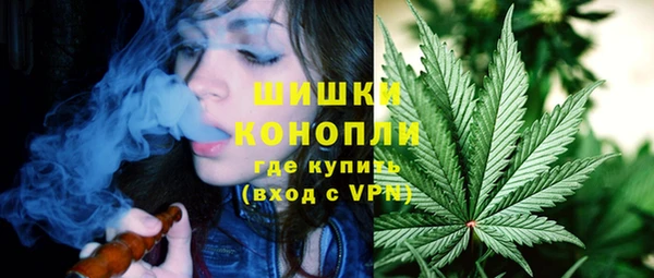дживик Богданович