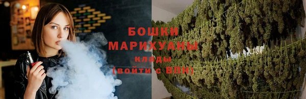PSILOCYBIN Беломорск