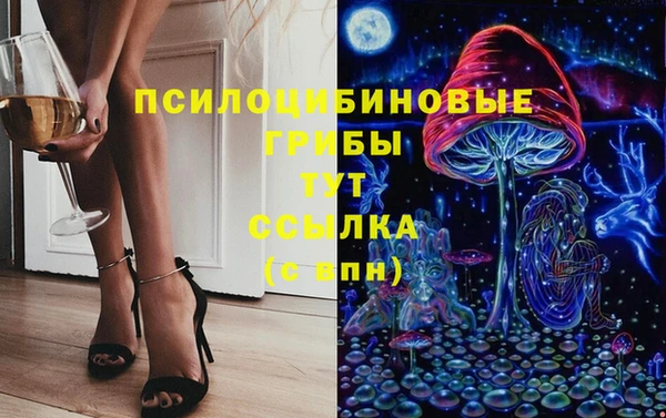 PSILOCYBIN Беломорск