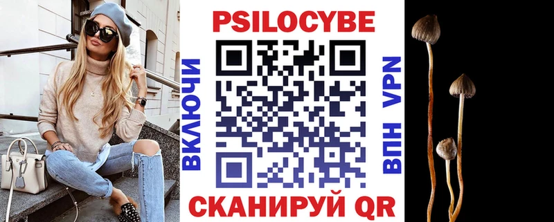 где купить наркоту  Высоцк  Псилоцибиновые грибы мухоморы 